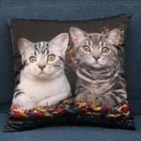 Декоративная подушка Коты